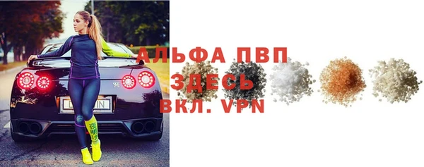 СК Зерноград