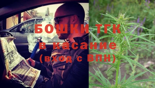 ГАЛЛЮЦИНОГЕННЫЕ ГРИБЫ Зеленодольск