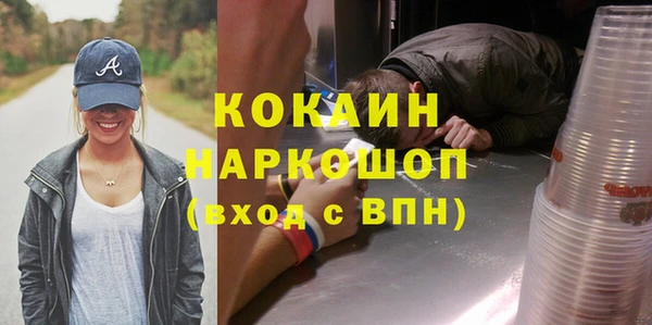 СК Зерноград
