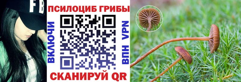 Купить где  Каргат  Галлюциногенные грибы мухоморы 